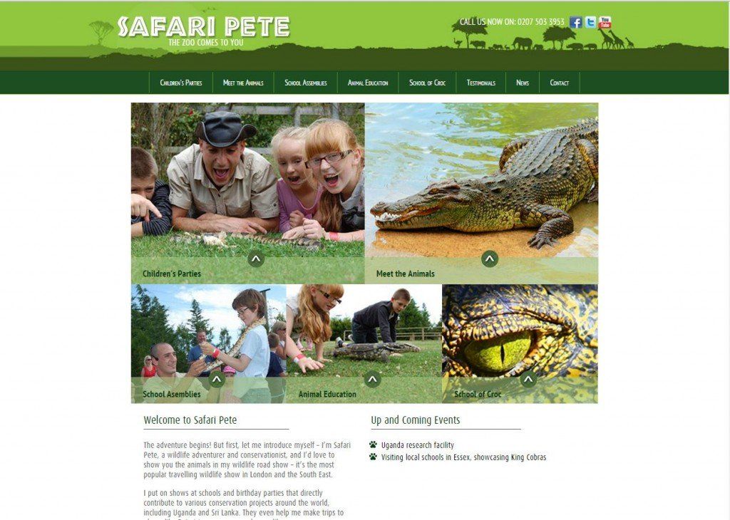 wildlife website design