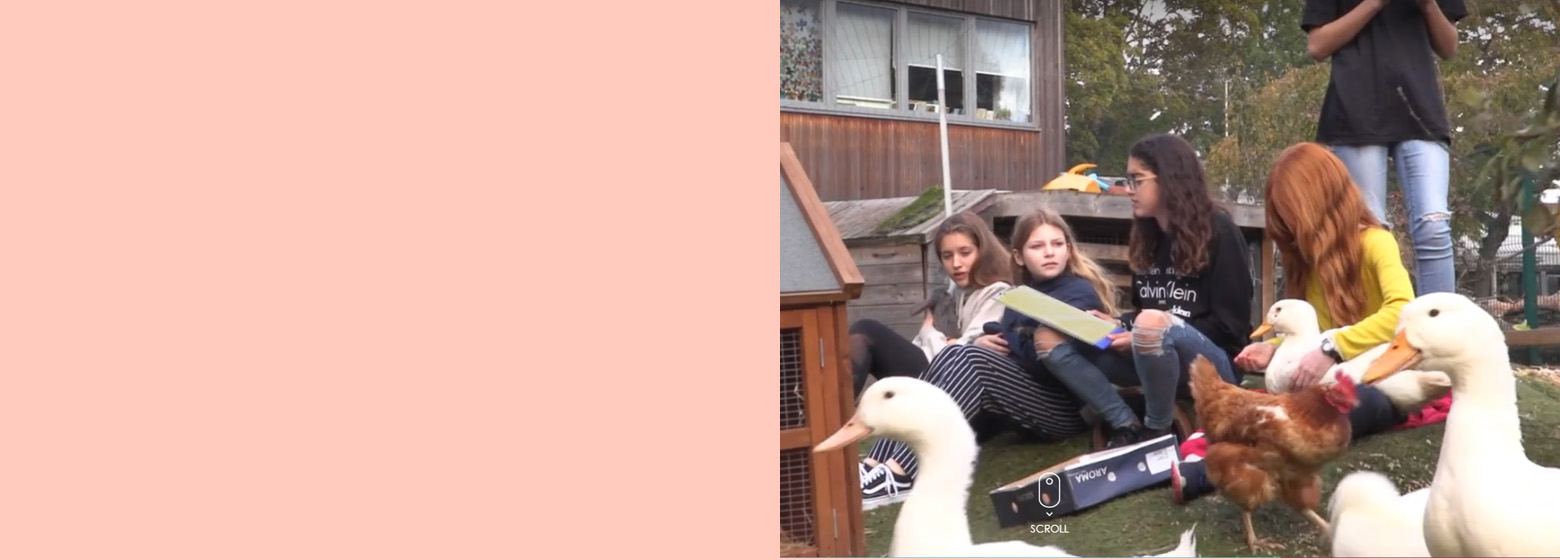 children in their school farm