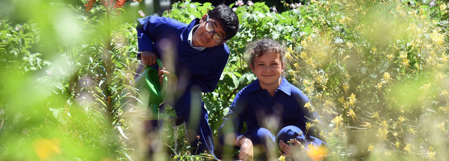 bluecoat-school-website-design