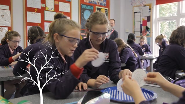 vimeo placeholder image